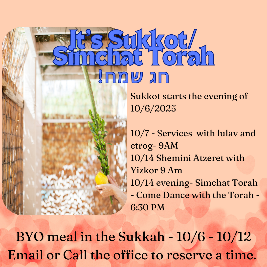 Build the Sukkah!